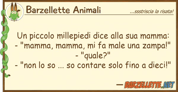 Barzellette Animali piccolo millepiedi dice mamm