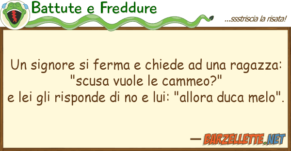Battute e Freddure signore ferma chiede raga