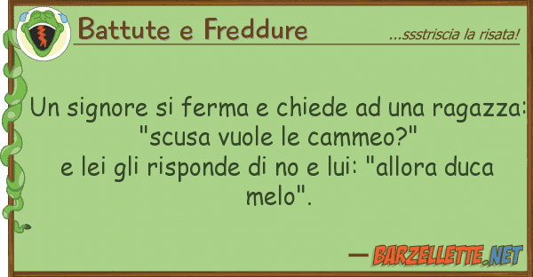 Battute e Freddure signore ferma chiede raga