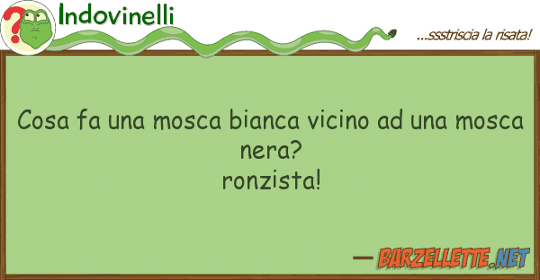 Indovinelli cosa fa mosca bianca vicino m