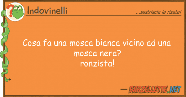 Indovinelli cosa fa mosca bianca vicino m