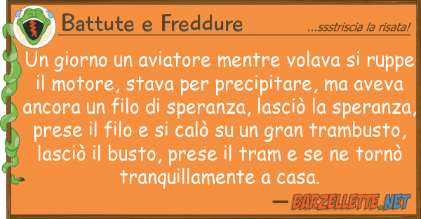 Battute e Freddure giorno aviatore mentre volava r