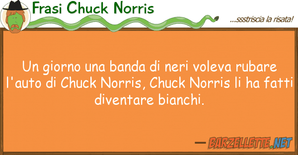 Frasi Chuck Norris giorno banda neri voleva rubar