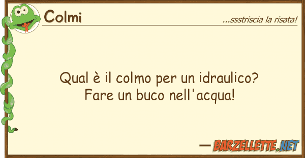 Colmi qual è colmo idraulico? fare