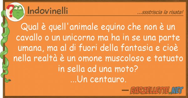 Indovinelli qual è quell'animale equino è