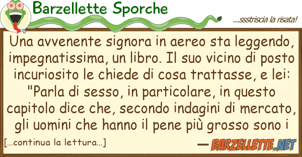 Barzellette Sporche avvenente signora aereo sta legge