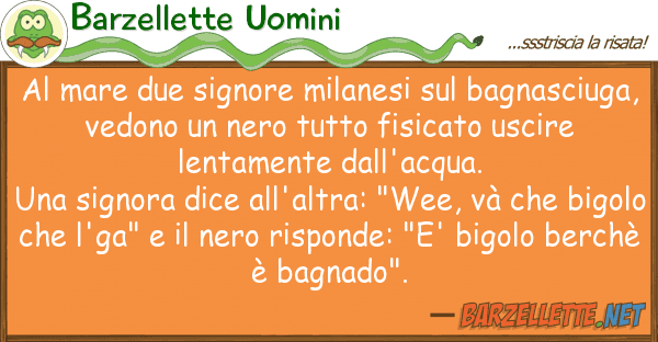Barzellette Uomini mare due signore milanesi bagnasc