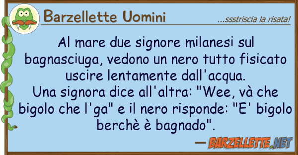 Barzellette Uomini mare due signore milanesi bagnasc