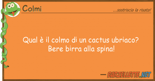 Colmi qual è colmo cactus ubriaco? b