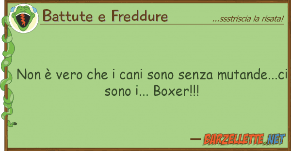 Battute e Freddure è vero cani sono senza mutand