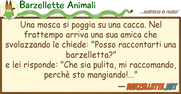 Barzellette Animali mosca poggia cacca. fr