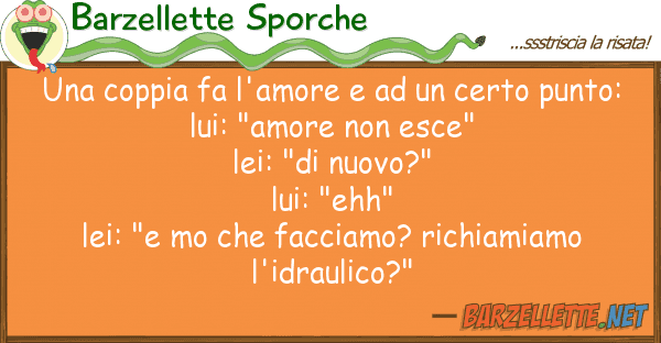 Barzellette Sporche coppia fa l'amore certo punt