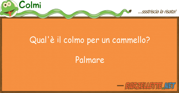 Colmi qual'è colmo cammello? palm