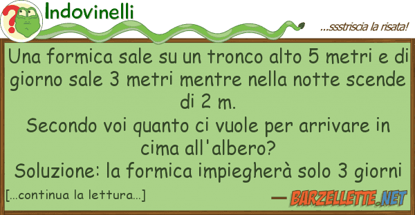 Indovinelli formica sale tronco alto 5 met