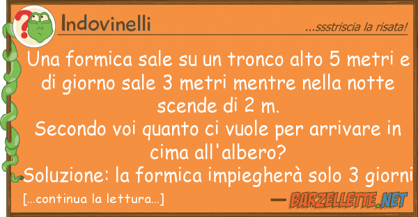 Indovinelli formica sale tronco alto 5 met