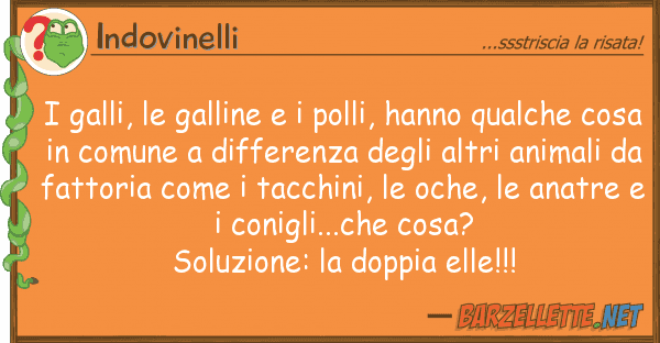 Indovinelli galli, galline polli, hanno qua