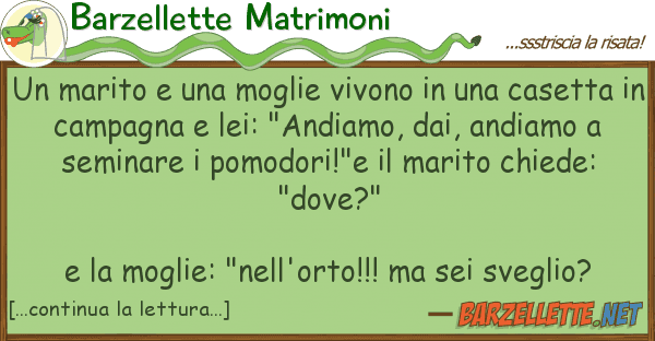 Barzellette Matrimoni marito moglie vivono cas