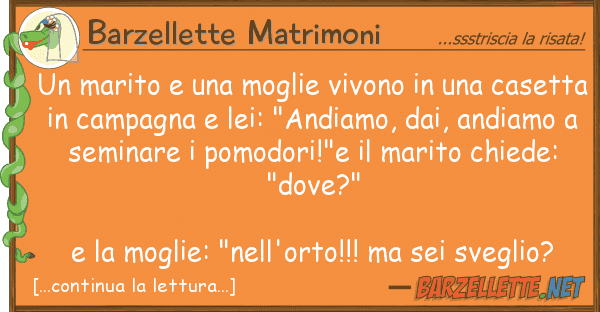 Barzellette Matrimoni marito moglie vivono cas
