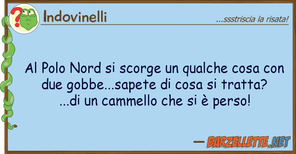 Indovinelli polo nord scorge qualche cosa