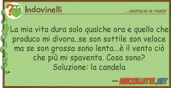 Indovinelli vita dura solo qualche ora quel