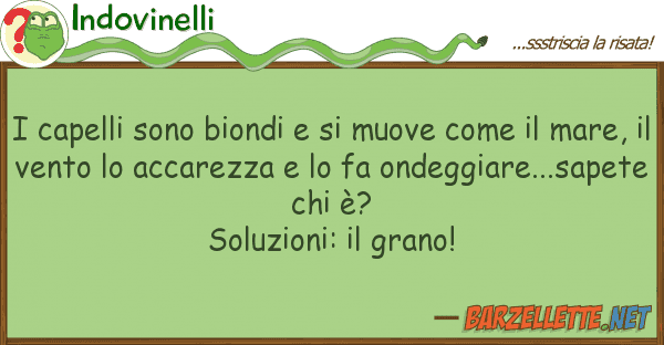 Indovinelli capelli sono biondi muove