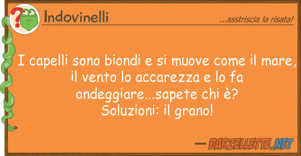Indovinelli capelli sono biondi muove