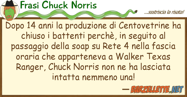 Frasi Chuck Norris dopo 14 anni produzione centovetri