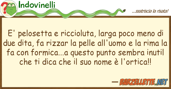 Indovinelli e' pelosetta riccioluta, larga poco me