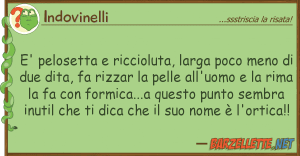 Indovinelli e' pelosetta riccioluta, larga poco me