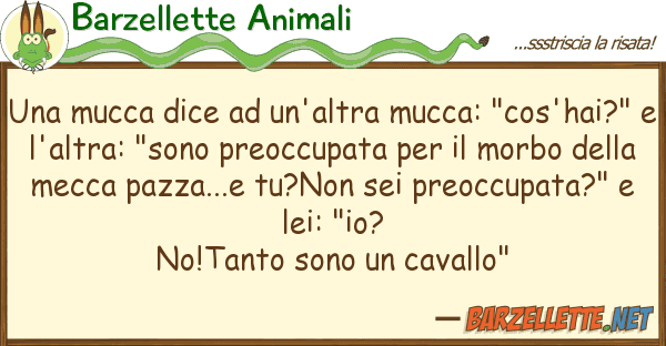Barzellette Animali mucca dice un'altra mucca: "cos'h