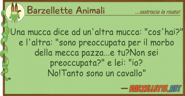 Barzellette Animali mucca dice un'altra mucca: "cos'h