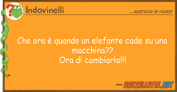 Indovinelli ora è quando elefante cade