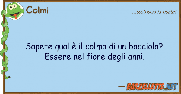 Colmi sapete qual è colmo bocciolo?