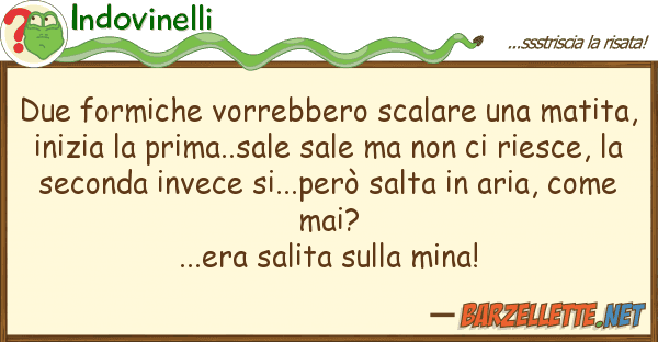Indovinelli due formiche vorrebbero scalare mati