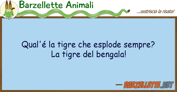 Barzellette Animali qual'é tigre esplode sempre?