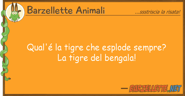 Barzellette Animali qual'é tigre esplode sempre?