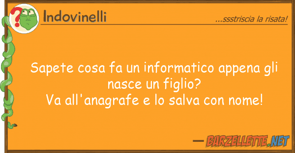 Indovinelli sapete cosa fa informatico appena