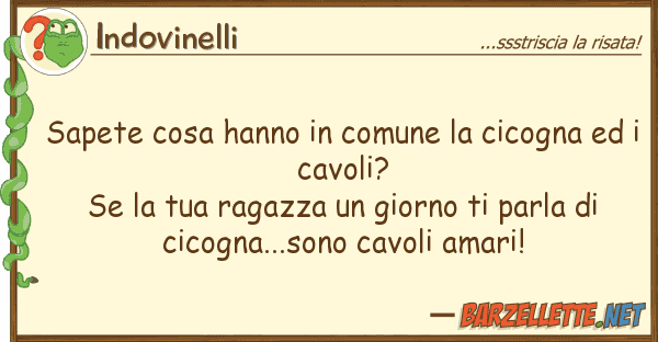Indovinelli sapete cosa hanno comune cicogna