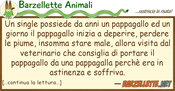 Barzellette Animali single possiede anni pappagallo