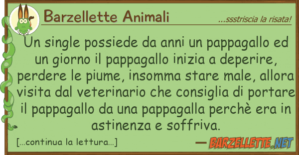 Barzellette Animali single possiede anni pappagallo