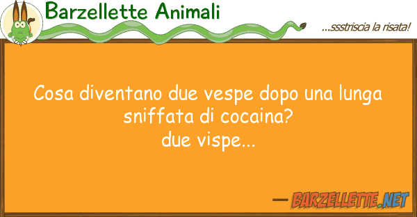 Barzellette Animali cosa diventano due vespe dopo lunga
