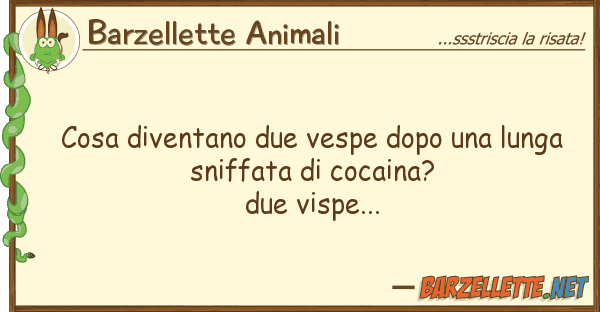 Barzellette Animali cosa diventano due vespe dopo lunga