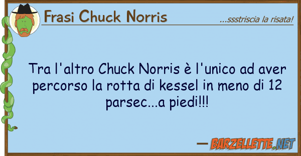 Frasi Chuck Norris l'altro chuck norris è l'unico