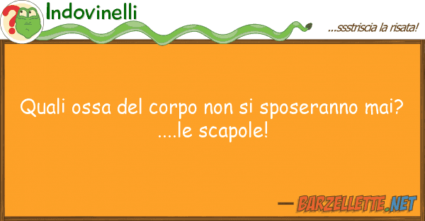 Indovinelli quali ossa corpo sposeranno m