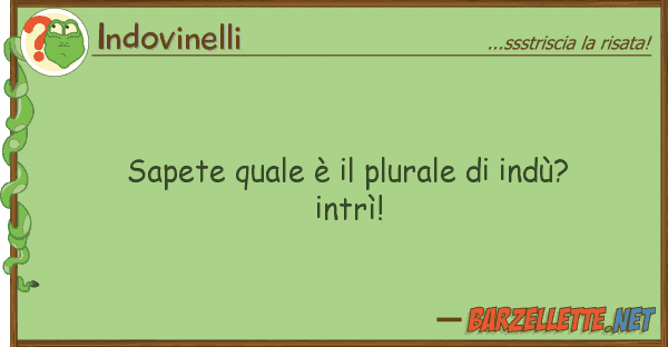 Indovinelli sapete è plurale indù? int