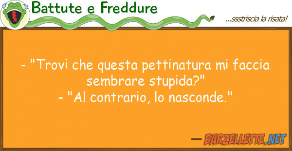 Battute e Freddure - "trovi pettinatura facci