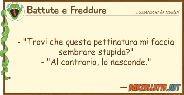 Battute e Freddure - "trovi pettinatura facci