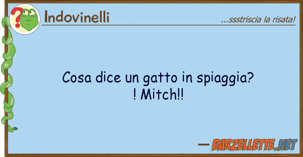 Indovinelli cosa dice gatto spiaggia?! mitch!!