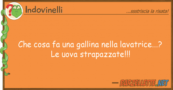 Indovinelli cosa fa gallina lavatrice.