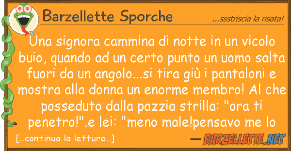 Barzellette Sporche signora cammina notte vicol